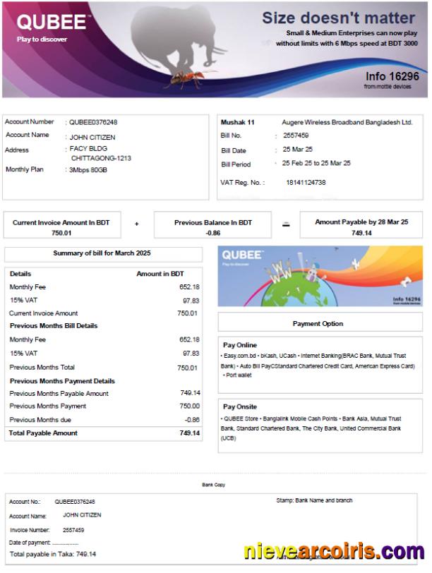 Bangladesh Qubee utility bill